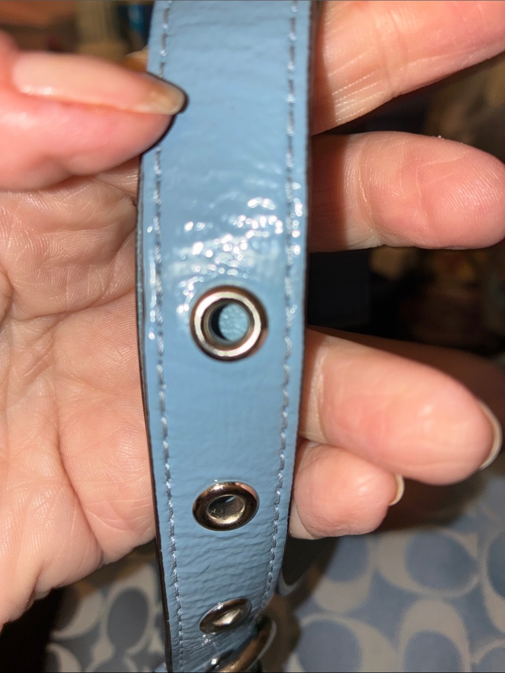 Coach Penelope Signature Sateen Hippie bag - Picture 9 of 11